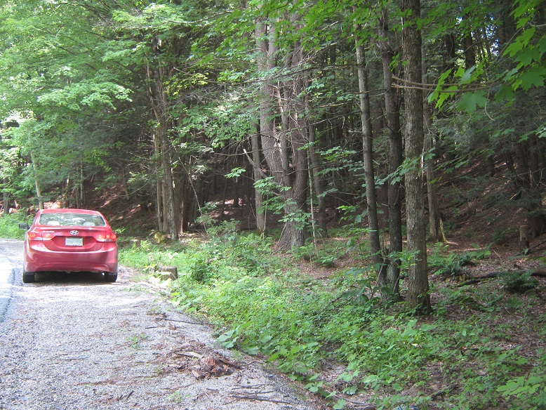 Samuel Hodges property, North part Lot 41 Hoosick. Source: Andrew Quackenbush, July 22, 2015.