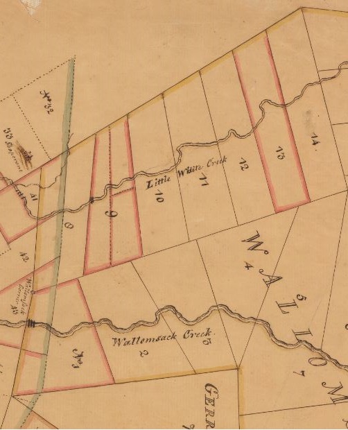 Part of Walloomac Patent showing loyalist confiscations in red. Note the division for the east half of Lot 9 for "Hodge and brother" Source: New York State Archives. (1773). Map of Wallomsack Patent; also Snyders Patent called Mapletown. Map #884. State Engineer and Surveyor. Series A0273-78. Retrieved from digitalcollections.archives.nysed.gov.